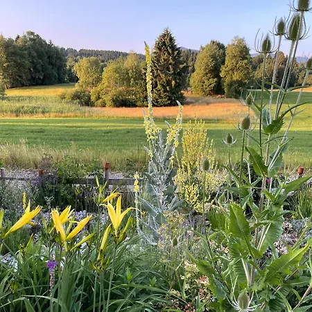 Zwischenraum *